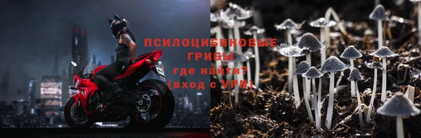не бодяженный Гусь-Хрустальный