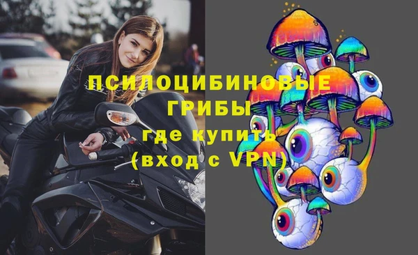 стафф Гусиноозёрск
